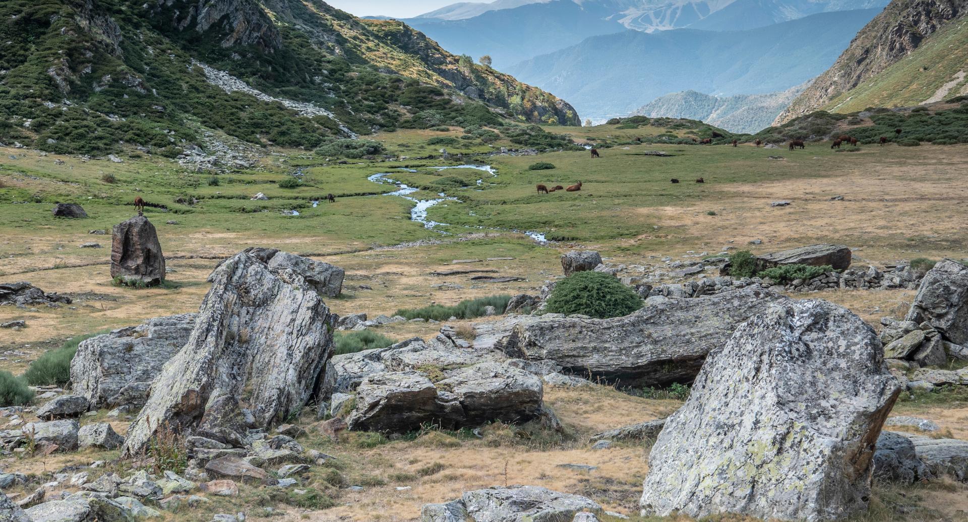 Que faire à Esterri d'Àneu?