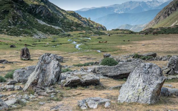 Valls d'Àneu