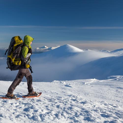 Snowshoeing